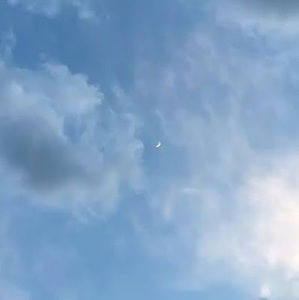 Meet your Posher, Skylee